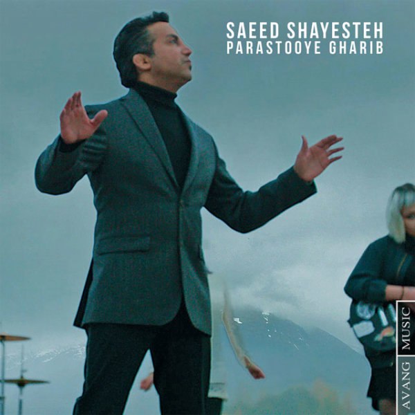 پرستوی غریب ساعد شایسته FIVETAMUSIC