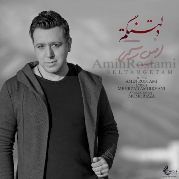 دلتنگتم امین رستمی FIVETAMUSIC
