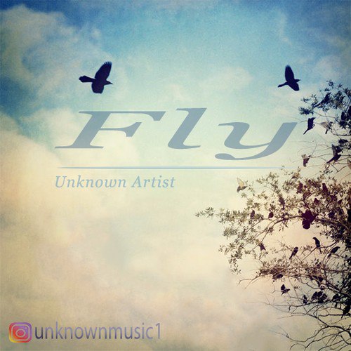 Fly Unknown Artist FIVETAMUSIC