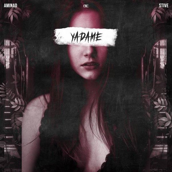 یادمه امین اد & ستوه FIVETAMUSIC