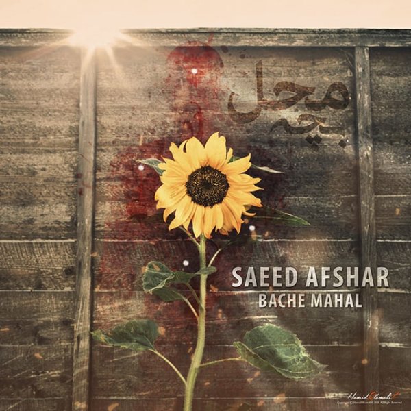 بچه محل ساعد افشار FIVETAMUSIC