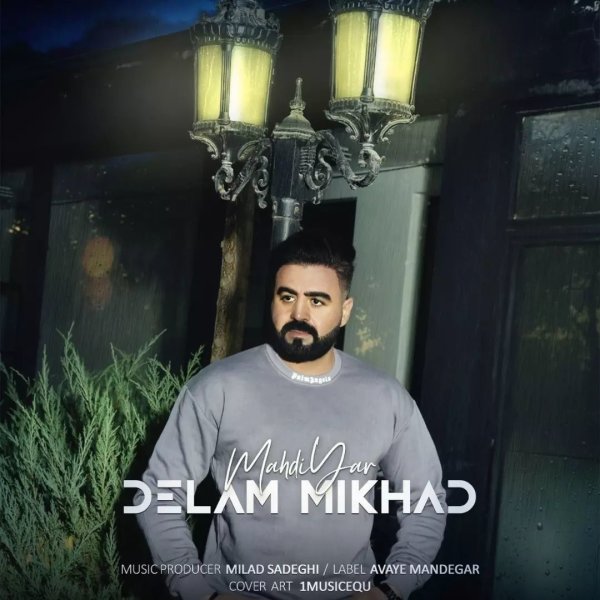 دلم میخاد مهدی یار FIVETAMUSIC