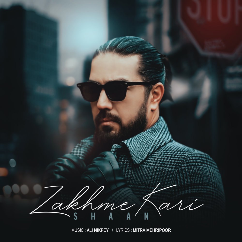 زخمه کاری شان FIVETAMUSIC