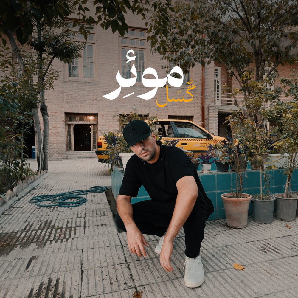 گوسال مور FIVETAMUSIC