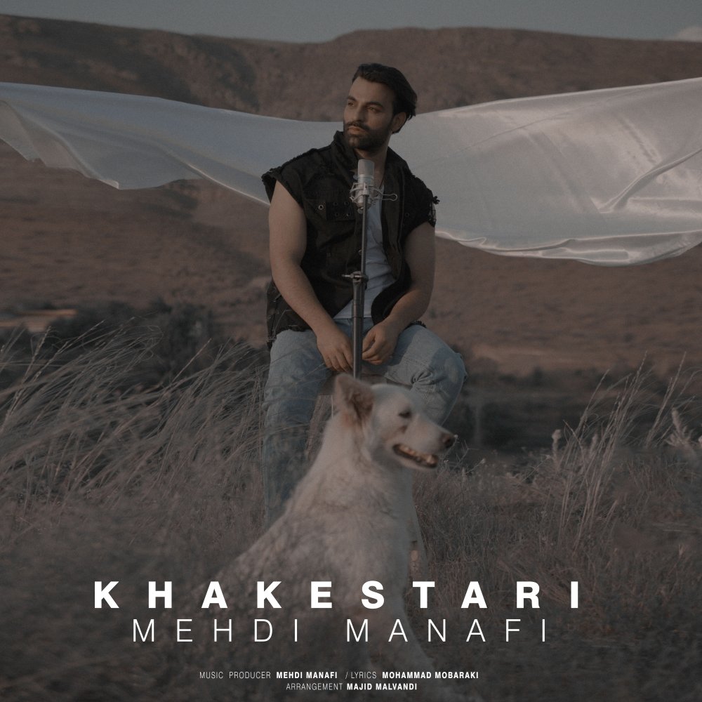 خاکستری مهدی منفی FIVETAMUSIC