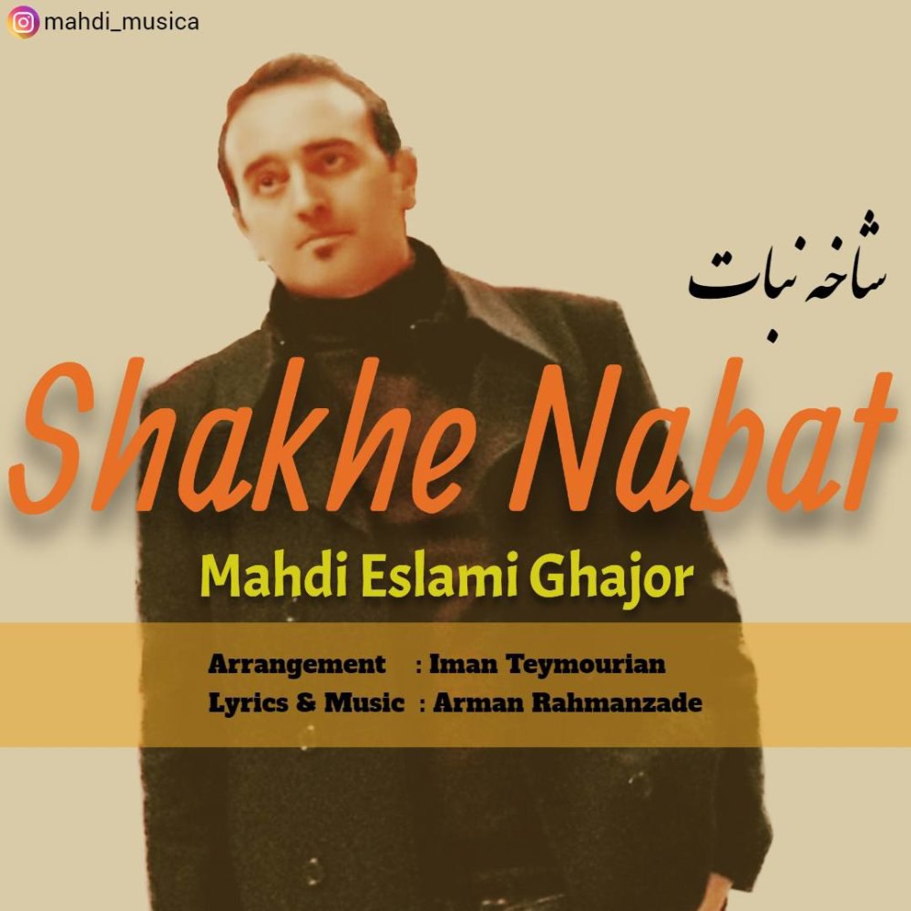شاخه نبات مهدی اسلامی FIVETAMUSIC