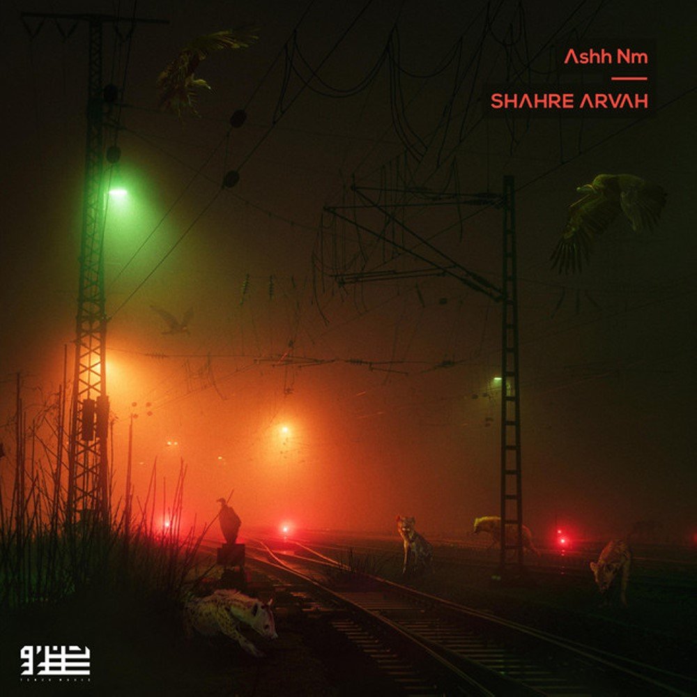 خیابونای شهر اشه نم FIVETAMUSIC