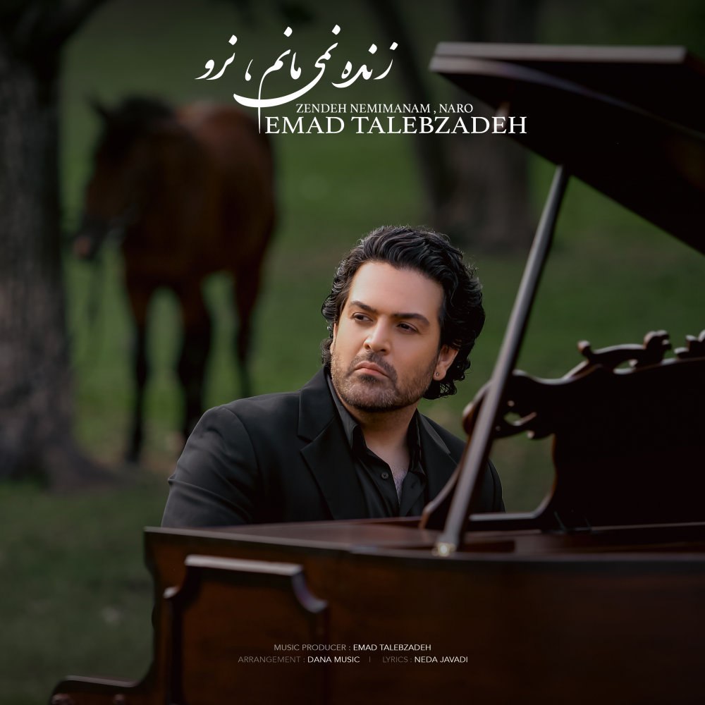 زنده نمیمانم نرو عماد طالبزاده FIVETAMUSIC