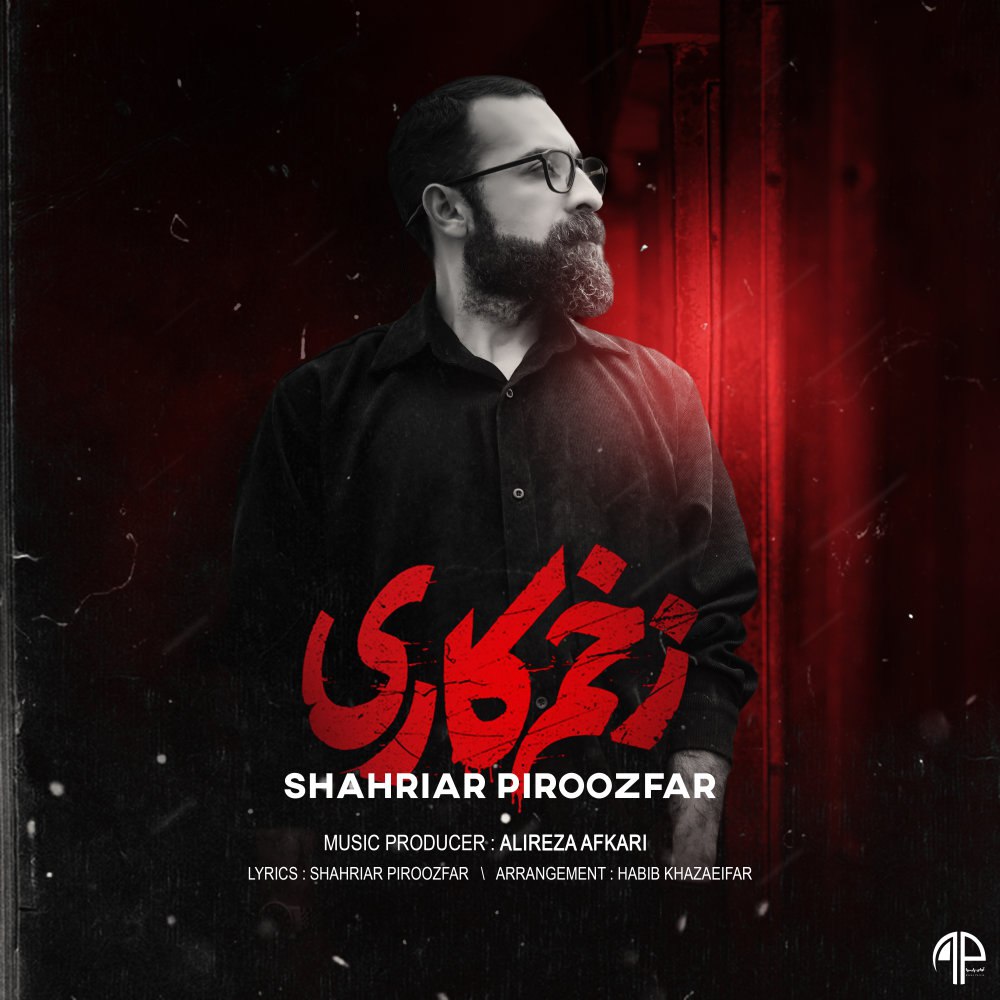 زخمه کاری شهریار پیروزفر FIVETAMUSIC