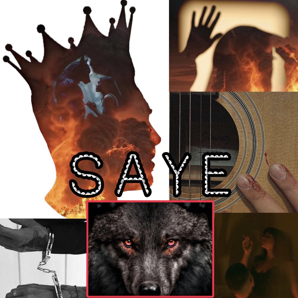 سی علی ردخ FIVETAMUSIC