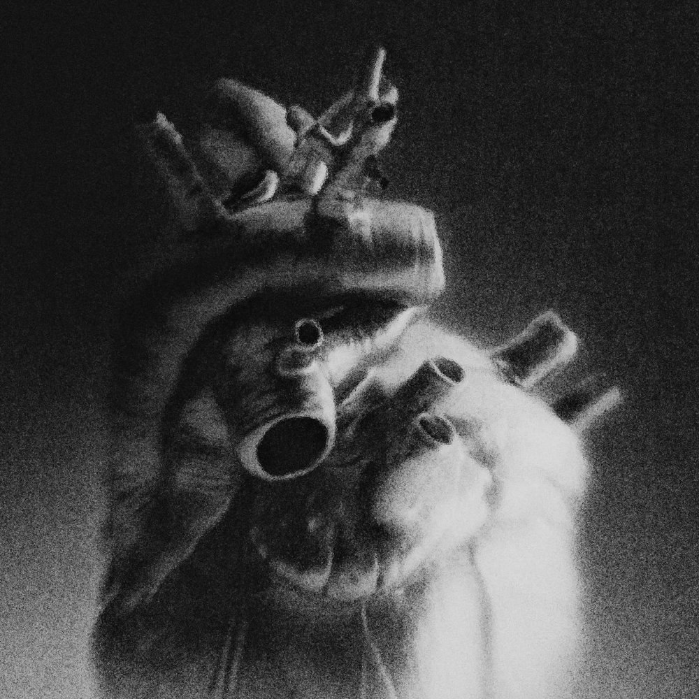 مودی ۰۲۱کید FIVETAMUSIC