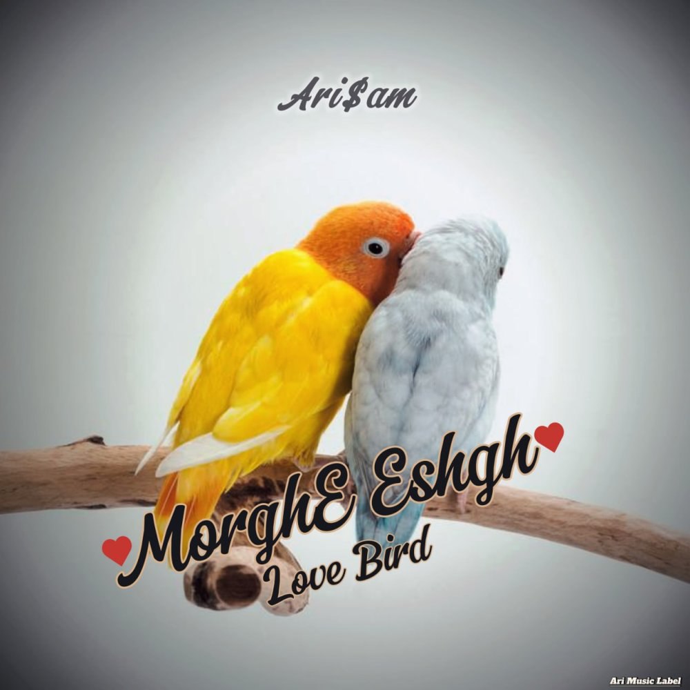 مرغه عشق اریسم FIVETAMUSIC