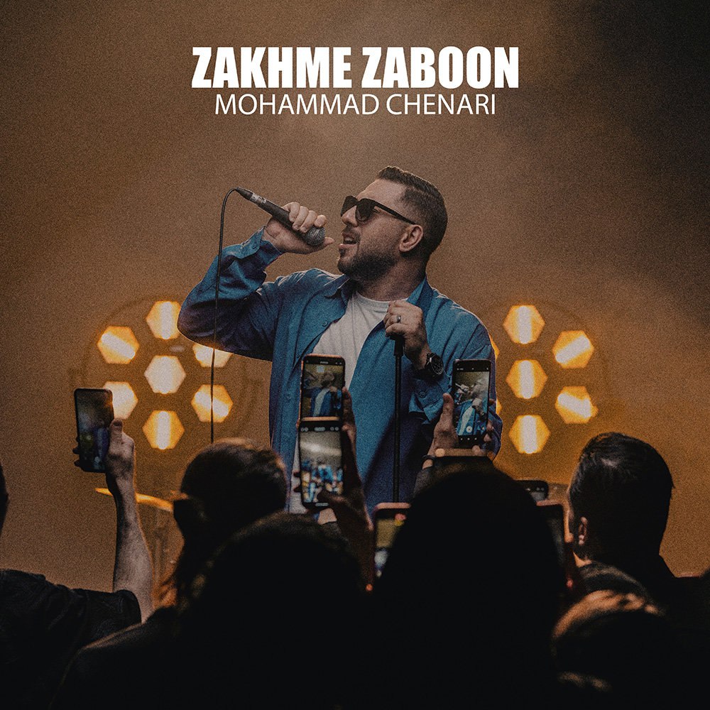 زخمه زبون محمد چناری FIVETAMUSIC