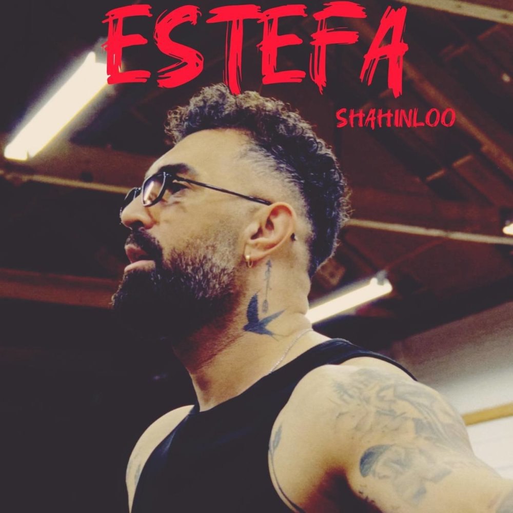 استفا شاهین لو FIVETAMUSIC