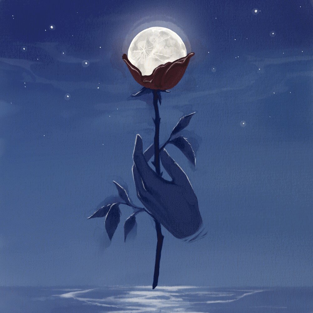 دلم میخاد بارزه FIVETAMUSIC